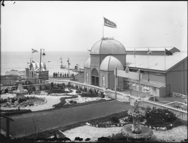 bondi history